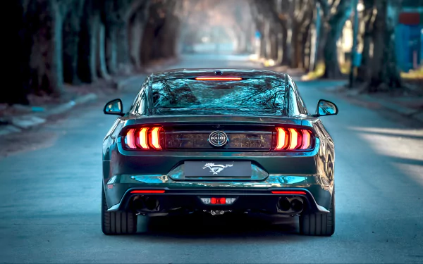 vehicle Ford Mustang Bullitt HD Desktop Wallpaper | Background Image