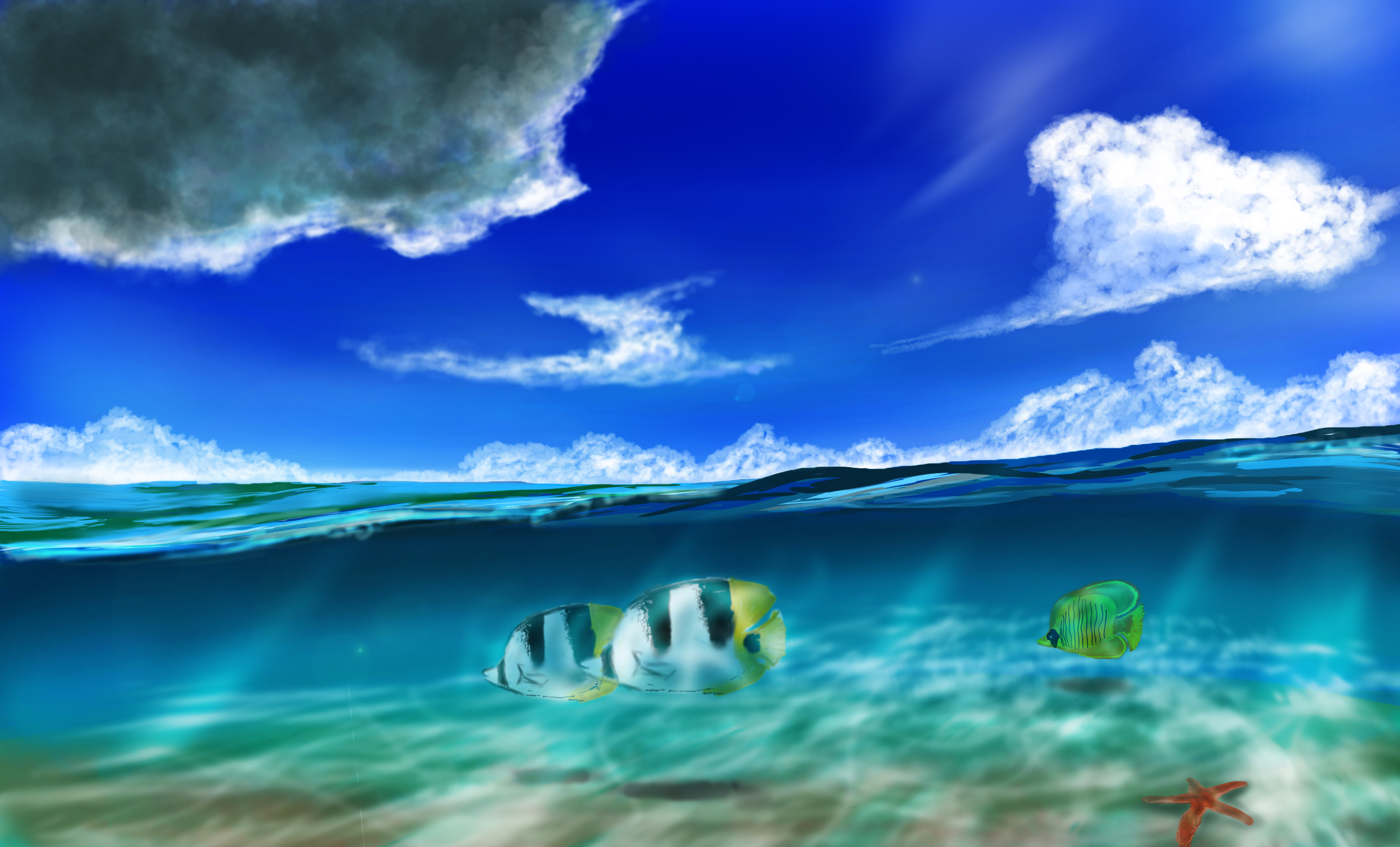 Fish HD Wallpaper by mxwwjack