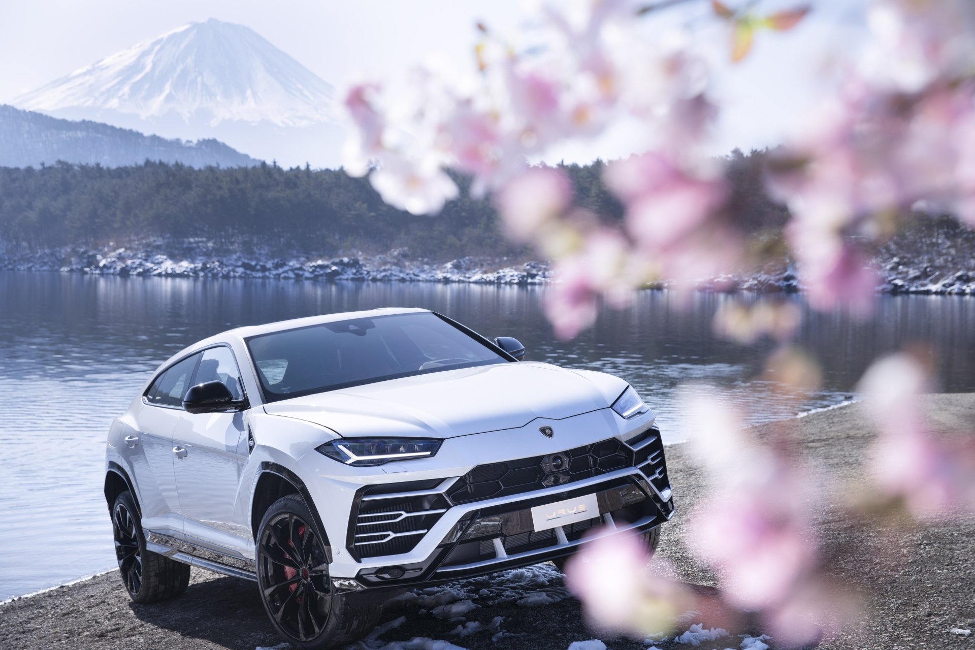 Download SUV White Car Car Lamborghini Vehicle Lamborghini Urus HD Wallpaper