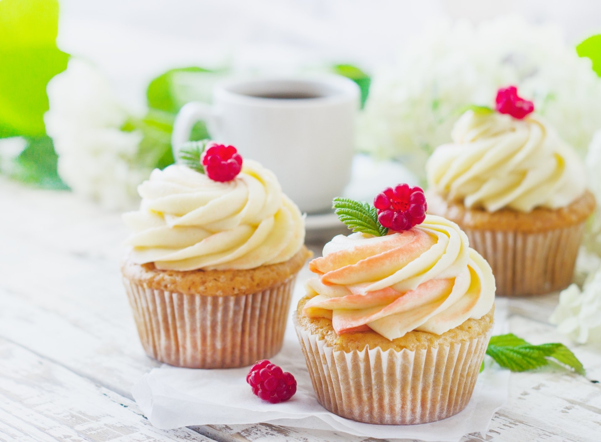 Download Dessert Cream Food Cupcake 4k Ultra HD Wallpaper