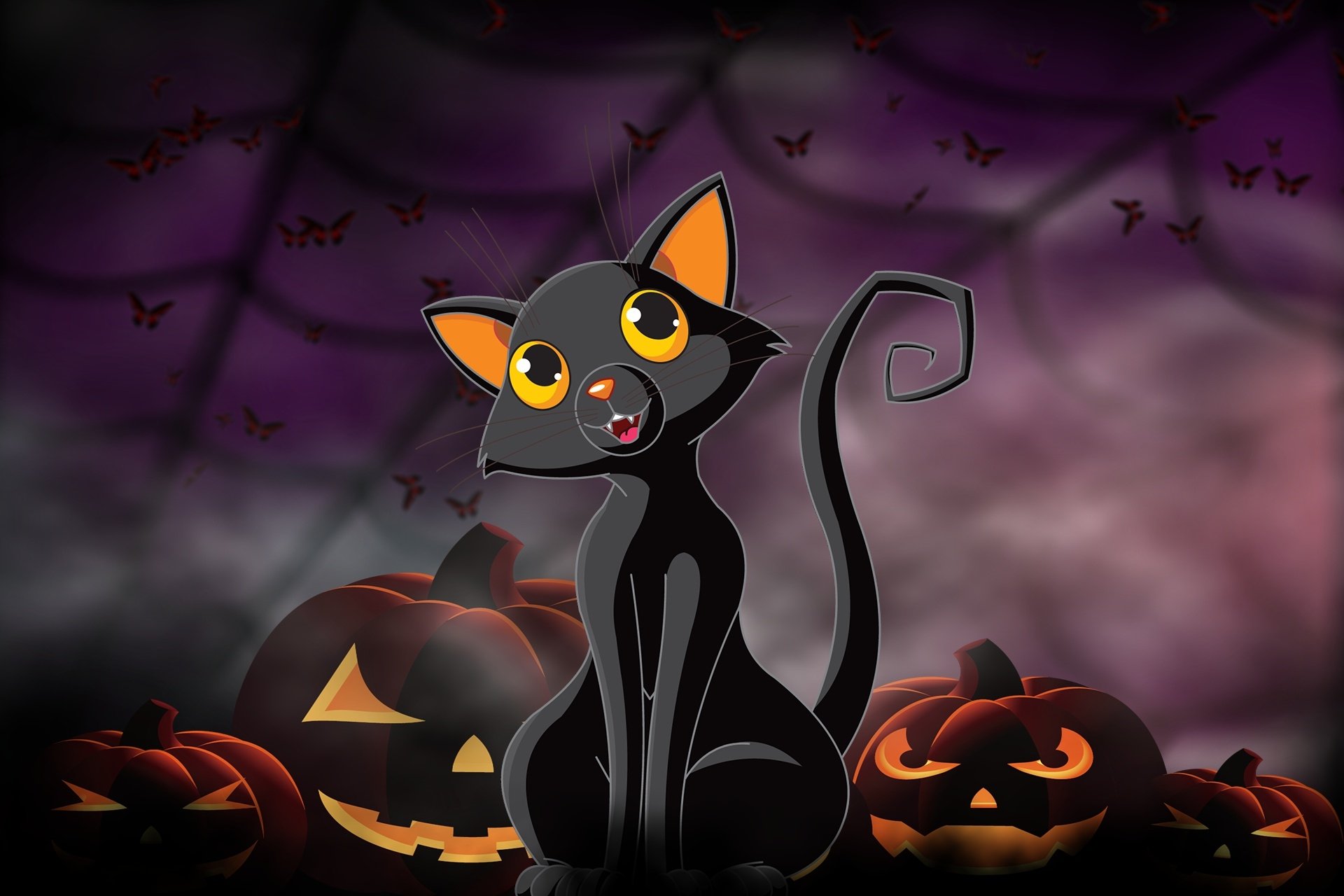 HD Halloween desktop wallpaper featuring a black cat with bright eyes sitting among glowing jack-o'-lantern pumpkins under a dark, spooky sky with bats and spiderwebs.