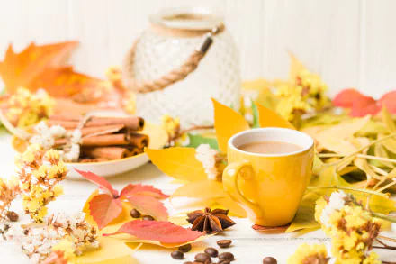 drink still life cinnamon cup leaf fall food coffee fall coffee HD Desktop Wallpaper | Background Image