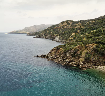  macOS Catalina 10.15 Wallpaper