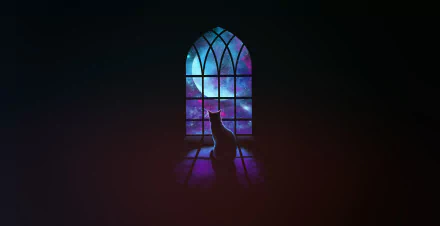  Cat Looking out Window