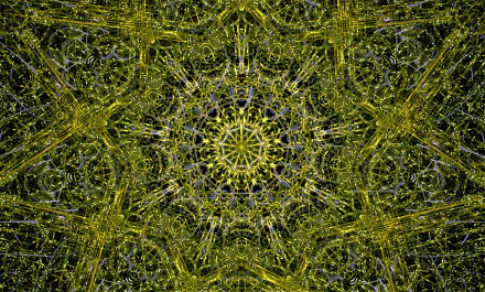  Orysable