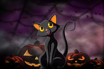 HD Halloween desktop wallpaper featuring a black cat with bright eyes sitting among glowing jack-o'-lantern pumpkins under a dark, spooky sky with bats and spiderwebs.