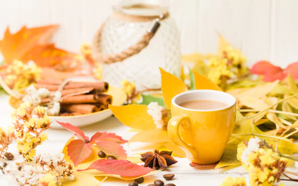 drink still life cinnamon cup leaf fall food coffee fall coffee HD Desktop Wallpaper | Background Image