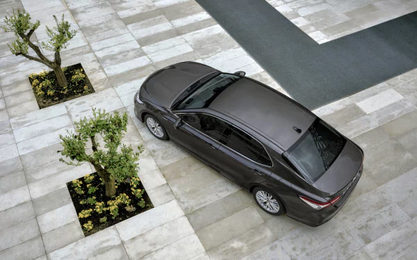 black car compact car car Toyota vehicle Toyota Camry HD Desktop Wallpaper | Background Image