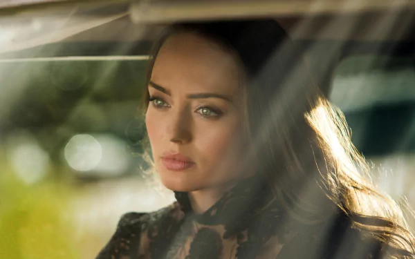 Laura Haddock Transformers movie Transformers: The Last Knight HD Desktop Wallpaper | Background Image