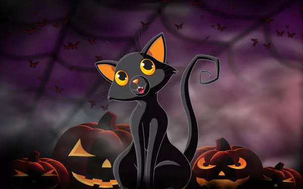 HD Halloween desktop wallpaper featuring a black cat with bright eyes sitting among glowing jack-o'-lantern pumpkins under a dark, spooky sky with bats and spiderwebs.