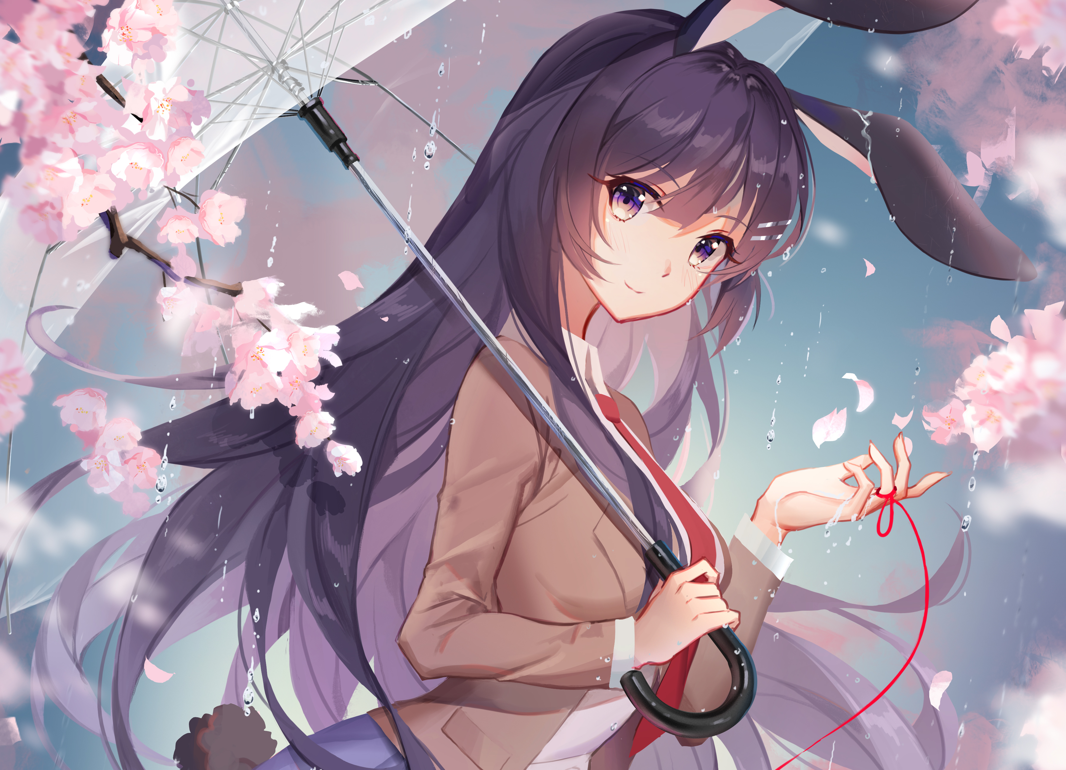 Seishun Buta Yarou wa Bunny Girl Senpai no Yume wo Minai - Zerochan Anime  Image Board