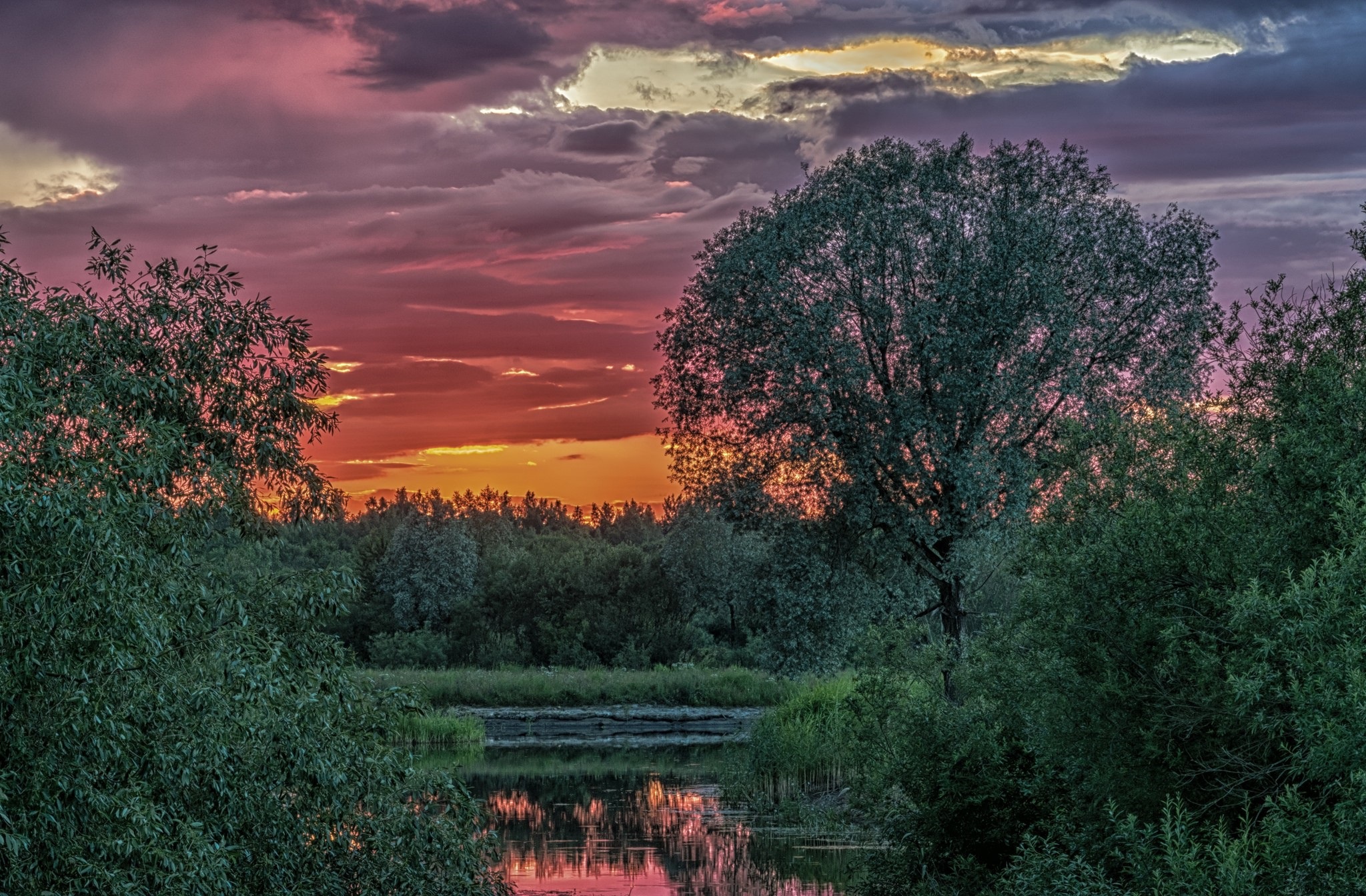 Download Nature Sunrise HD Wallpaper