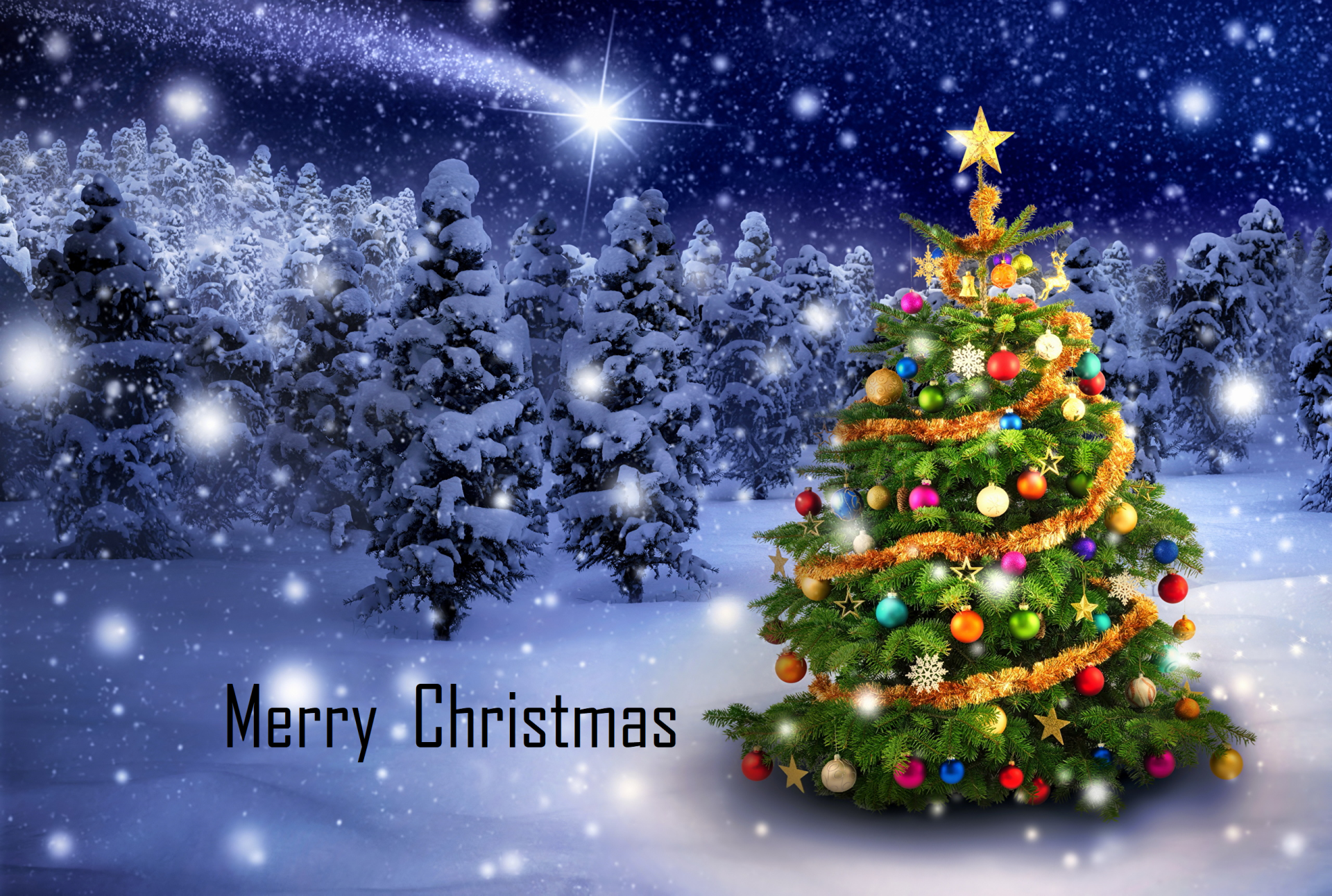 Download Snow Christmas Tree Merry Christmas Holiday Christmas HD Wallpaper