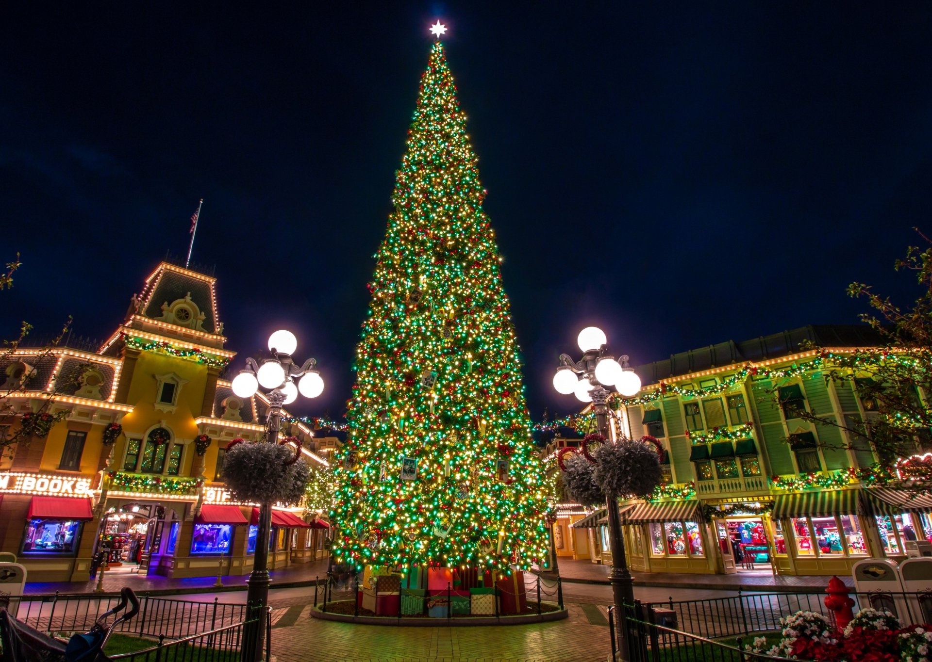 Download Disneyland California Christmas Lights Christmas Tree Holiday