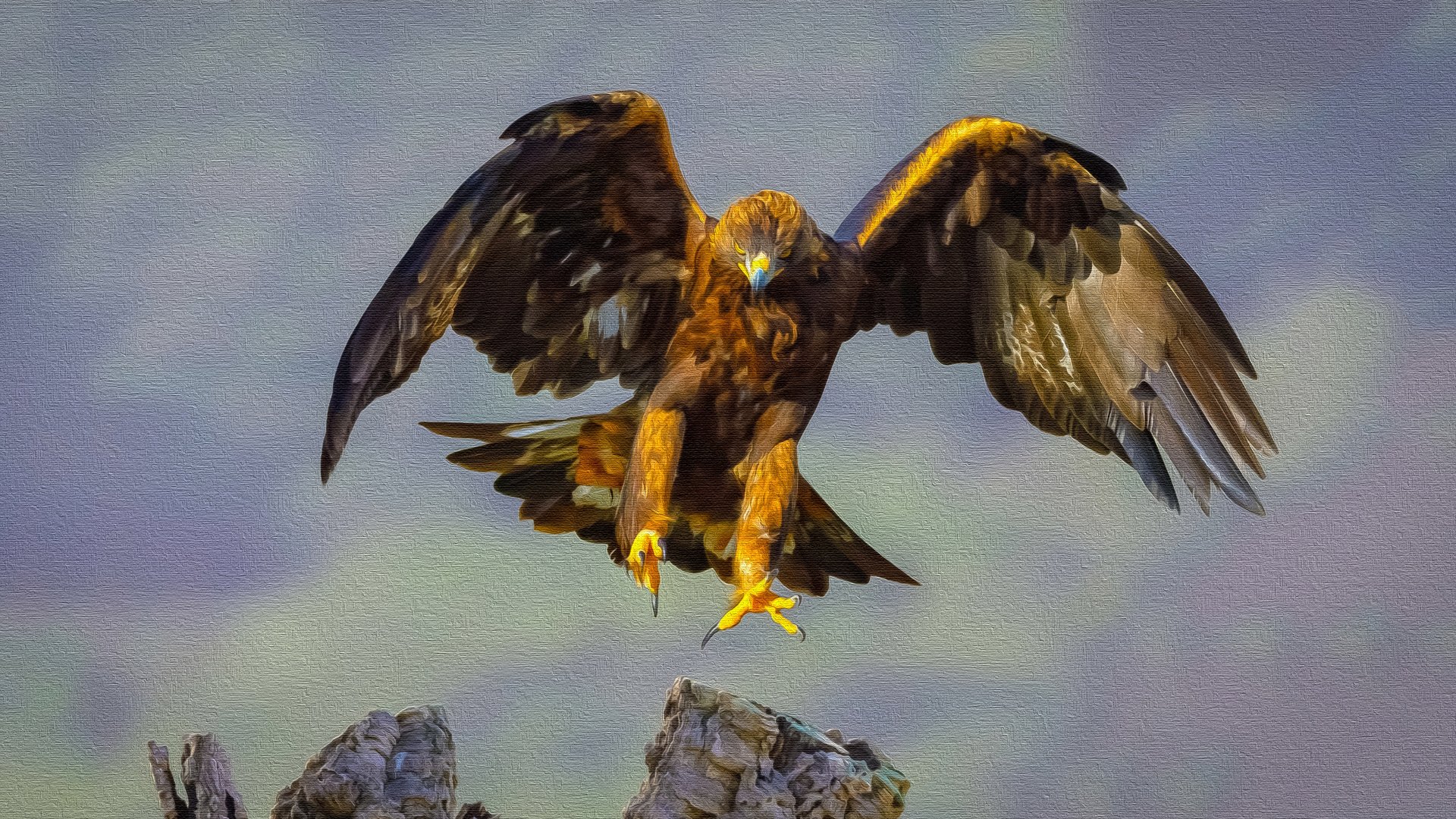 Golden Eagle - Fine Oil on Canvas by Manufan63