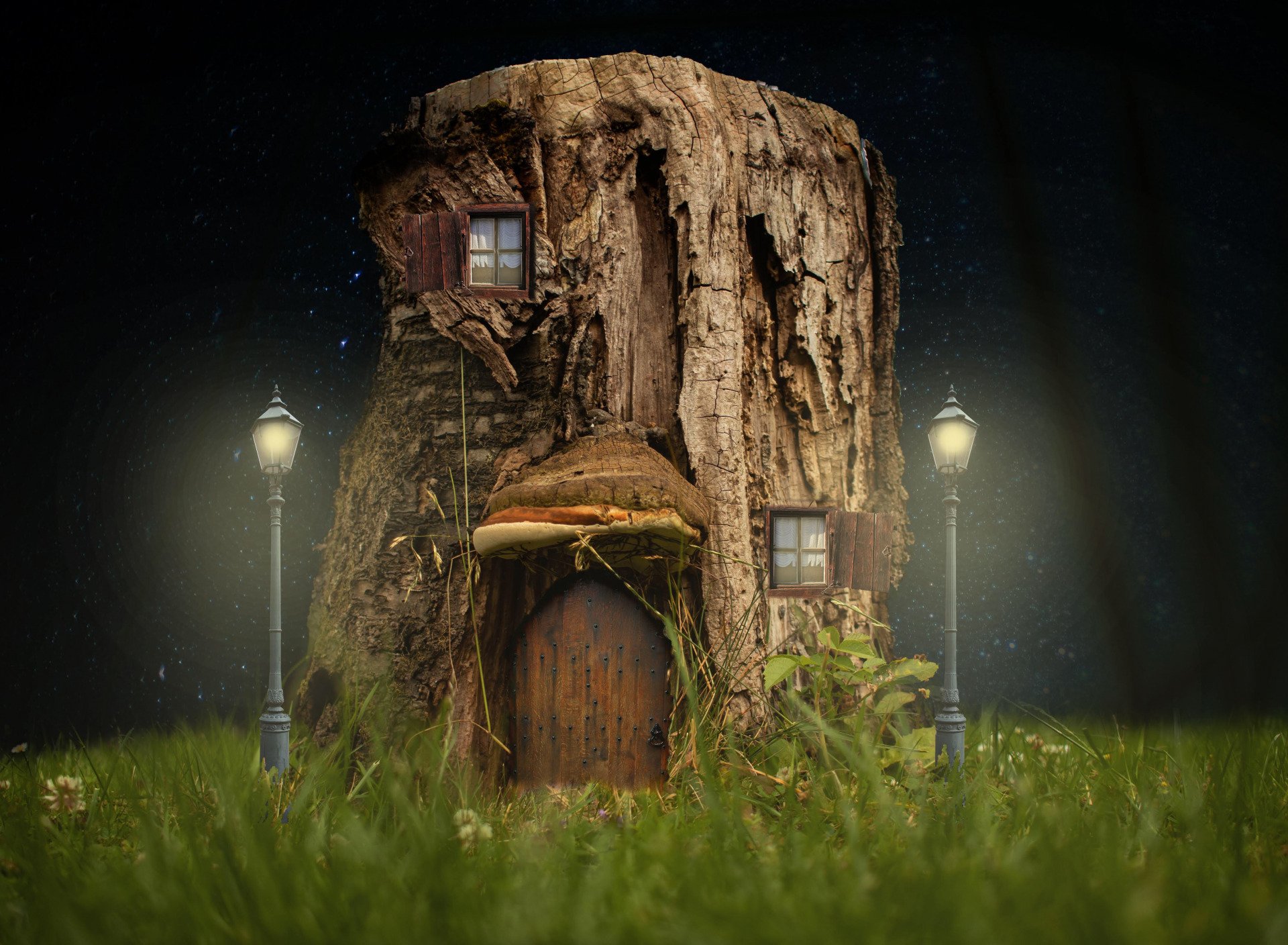 Download Door Stump Fantasy House Treehouse HD Wallpaper