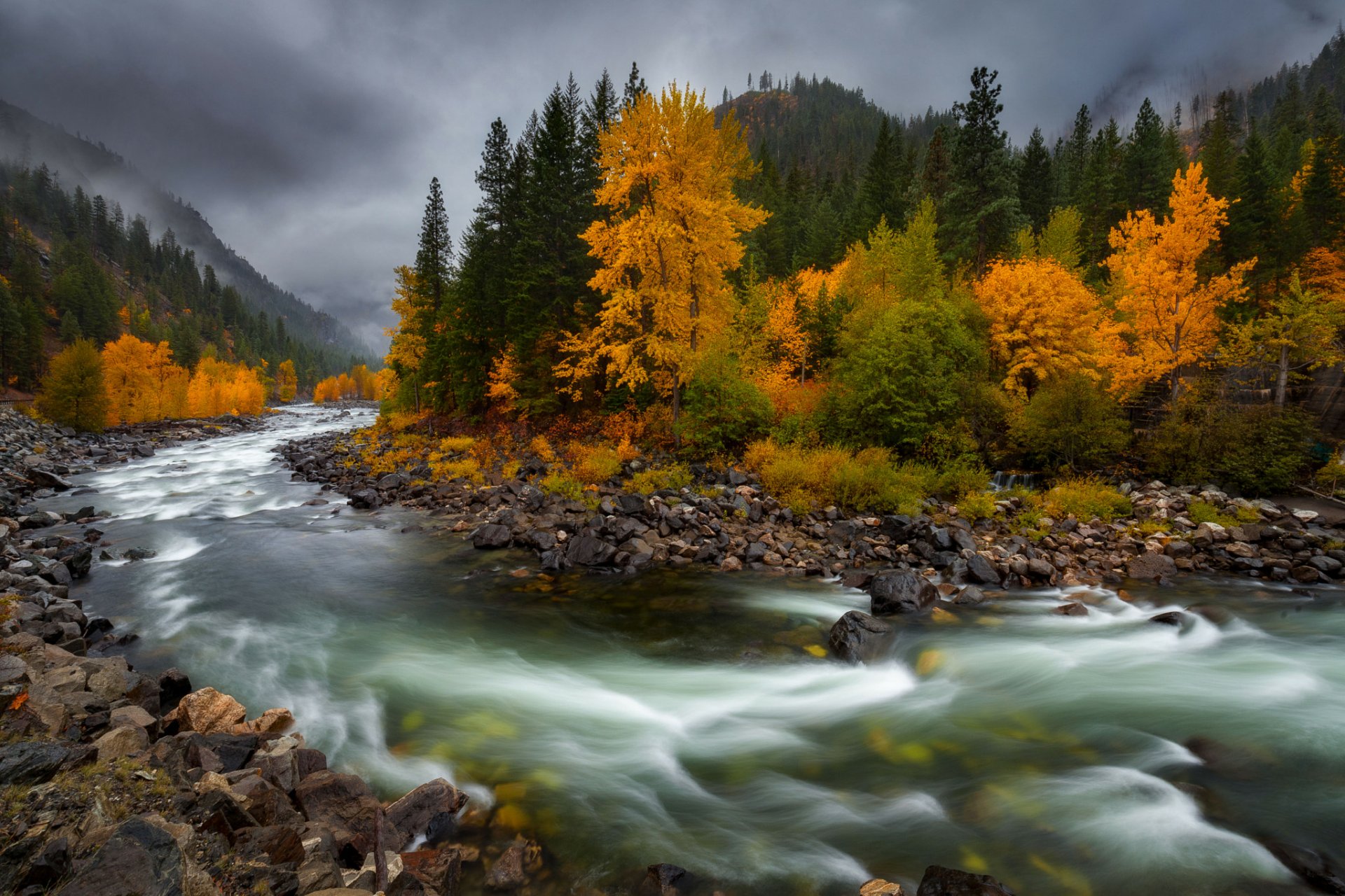 Download Fall Forest Nature River HD Wallpaper