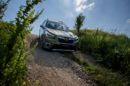 SUV green car car Subaru vehicle Subaru Forester HD Desktop Wallpaper | Background Image