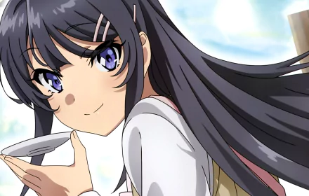 Mai Sakurajima Anime Rascal Does Not Dream of Bunny Girl Senpai HD Desktop Wallpaper | Background Image