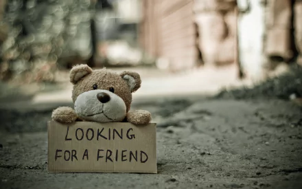 4K Ultra HD PC desktop wallpaper: a teddy bear stuffed animal sits on a path holding a 'LOOKING FOR A FRIEND' sign; shallow depth of field highlights the friend statement.