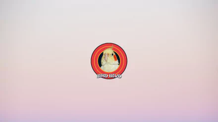  Bird Blvd - Taiyo the cockatiel