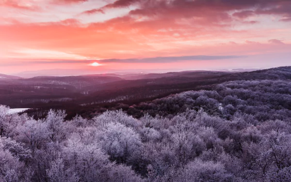 4K Ultra HD landscape of a forest at dawn, showcasing frosted trees under a vibrant pink and orange sky stretching over rolling hills.