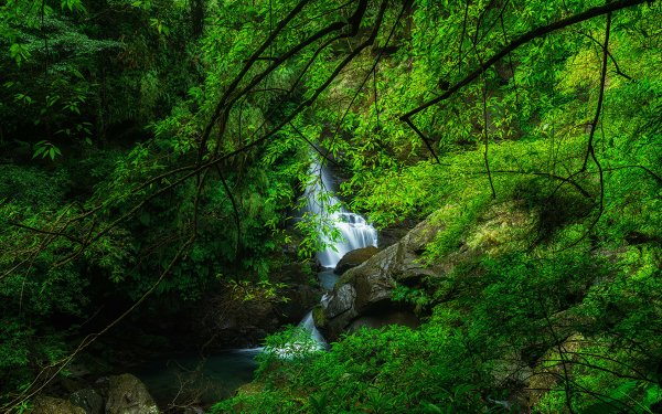 Earth Waterfall Waterfalls Greenery HD Wallpaper | Background Image