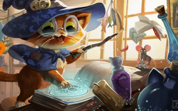Fantasy Animal Fantasy Animals Wizard Magic Cat HD Wallpaper | Background Image
