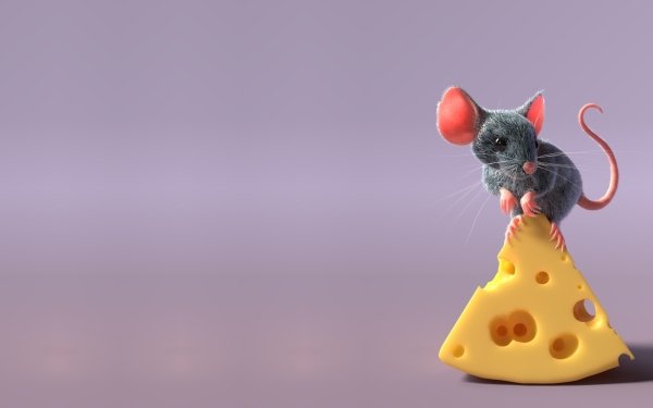 Animal Mouse Rodent Cheese HD Wallpaper | Background Image