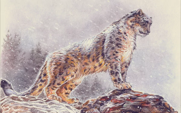 snowfall Animal snow leopard HD Desktop Wallpaper | Background Image