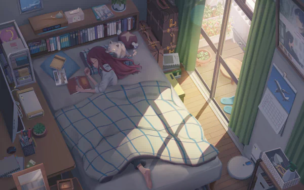 HD desktop wallpaper of an anime room featuring a character lying on a bed, accompanied by a cat. The room is filled with books, a desk, and sunlight streaming through a window with green curtains.