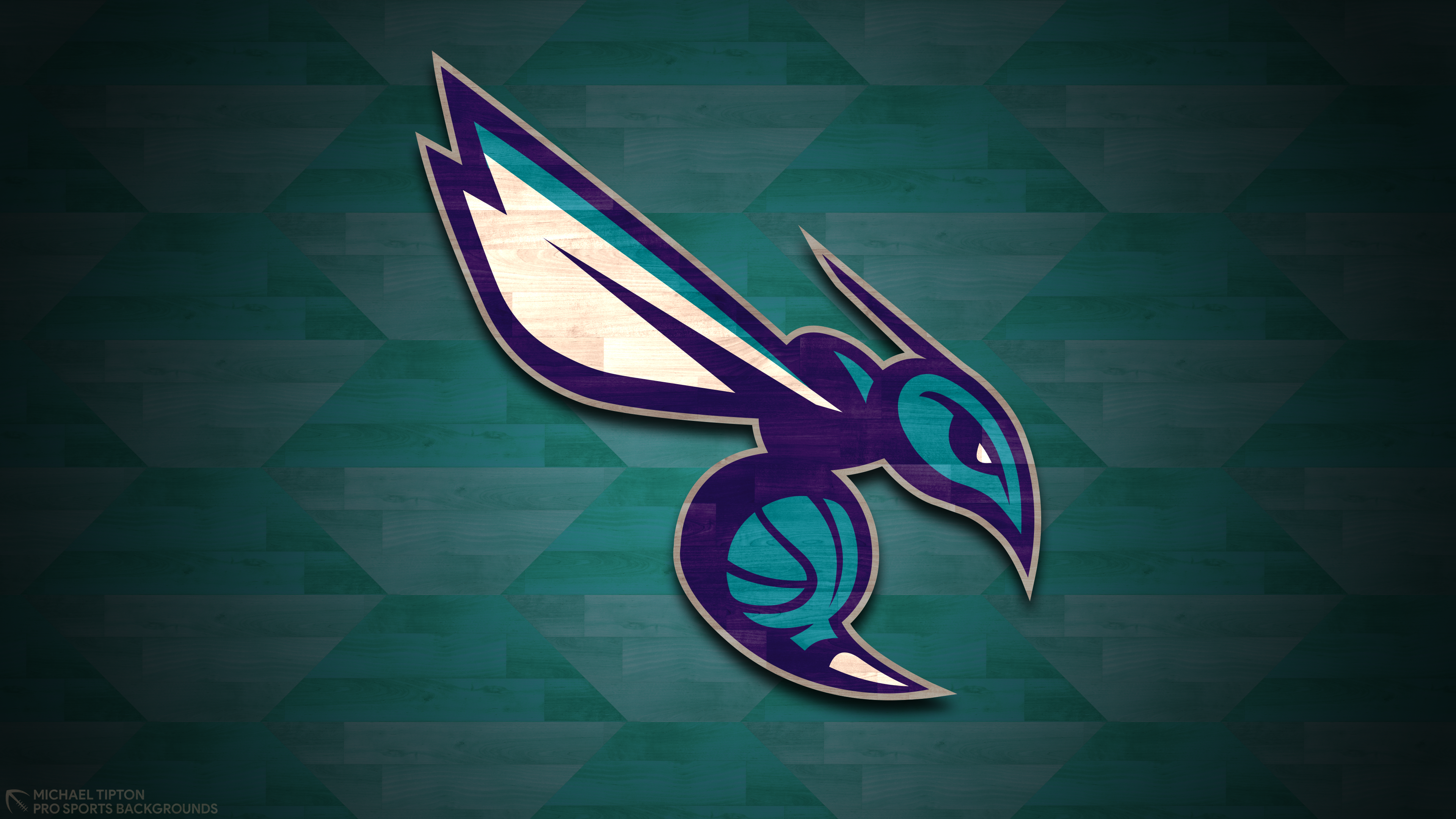 Sports Charlotte Hornets HD Wallpaper | Background Image