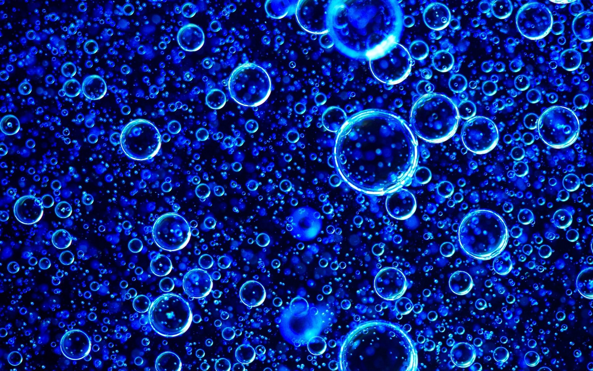 Bubbles Liquid Oil Wallpapers Free Download Desktop W - vrogue.co
