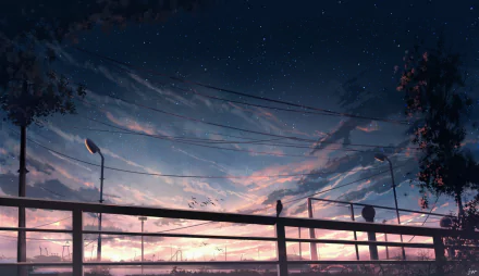 HD Anime wallpaper featuring a sunset transitioning into a starry sky, with silhouettes of street lamps and power lines in the foreground.