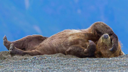  Oh No, Another Monday ☹