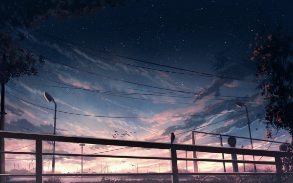 Anime Sunset Starry Sky HD Wallpaper | Background Image