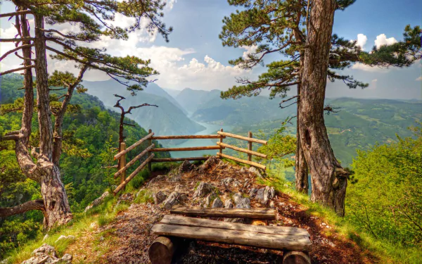  Banjska stena, Tara Mountain, Western Serbia