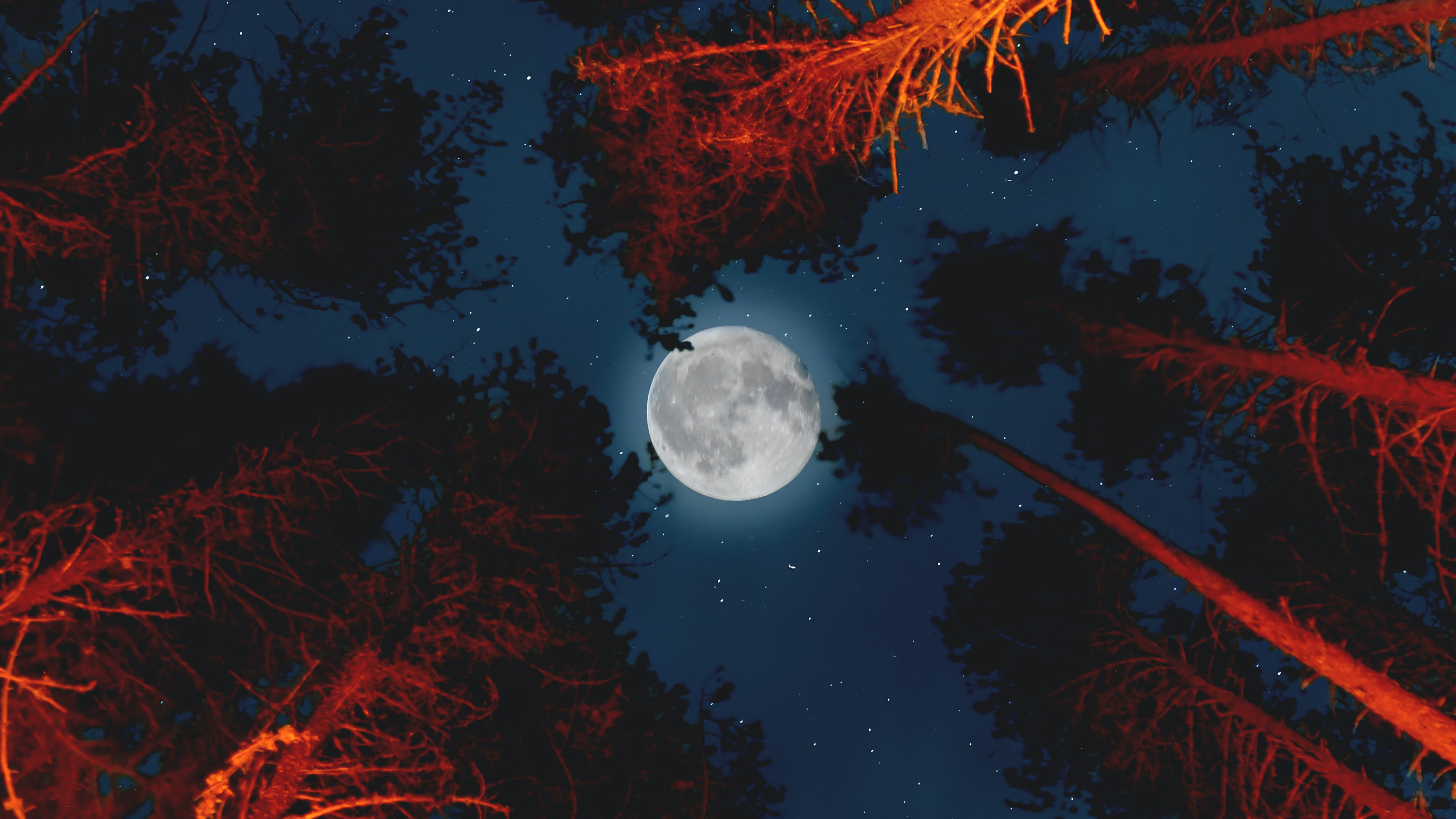 Trăng tròn bởi Jordan Steranka là một tác phẩm nghệ thuật tuyệt vời. Ánh sáng màu trắng của mặt trăng trông đẹp như thế nào khi được lấy làm chủ đề trong bức ảnh này. Hãy xem bức ảnh này và cảm nhận sự độc đáo và sáng tạo của nó.