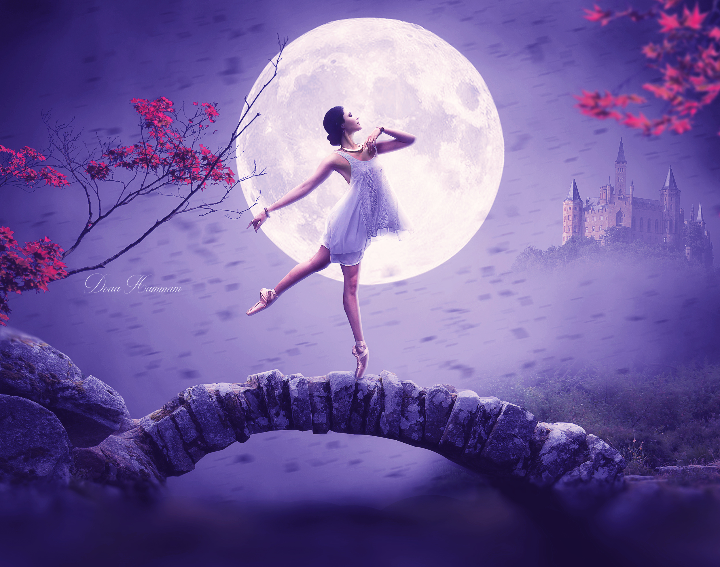 Ballerina on Stone Bridge in Fantasy Forest by Doaa Hammam