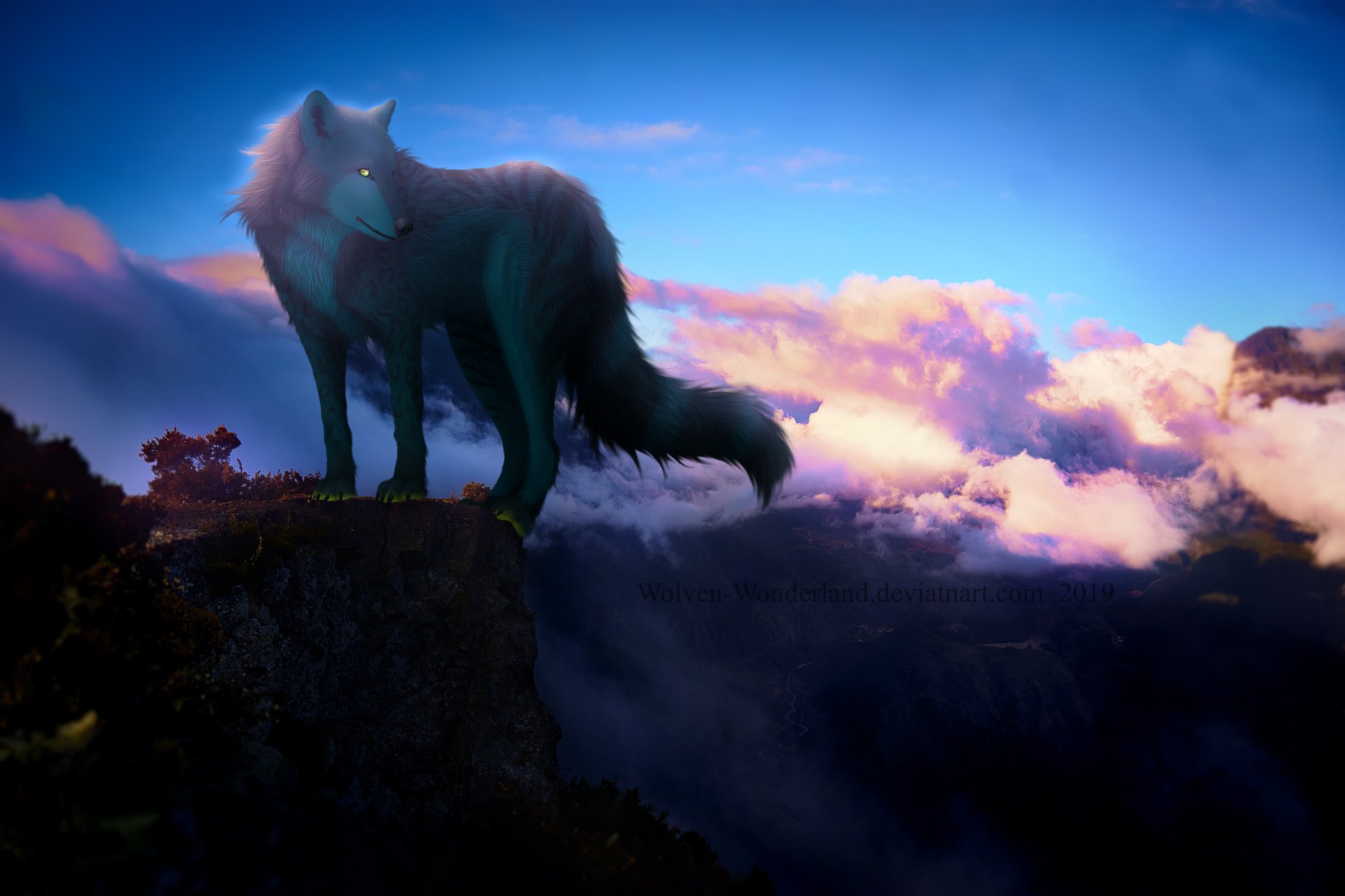 Epic Wolf Wallpapers 4K