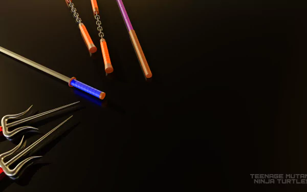  Teenage Mutant Ninja Turtles