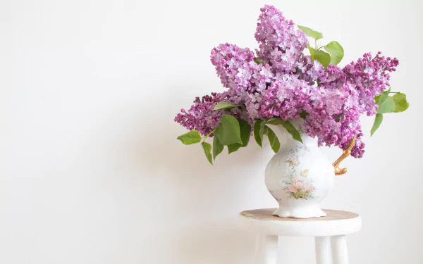  Pitcher of Lilacs on a White Stool