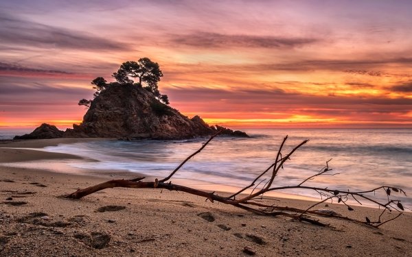 Earth Sunset Sea Ocean Nature Beach Horizon HD Wallpaper | Background Image