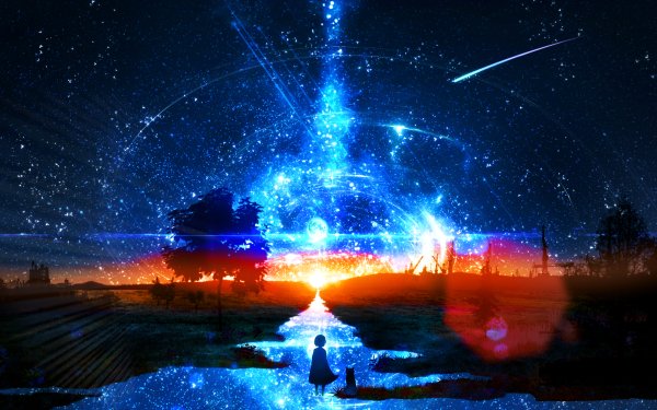 Anime Original Shooting Star Stars Night Light Sunset Water Cat Comet HD Wallpaper | Background Image