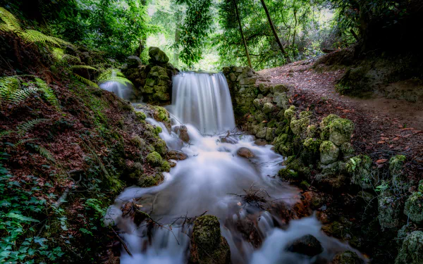 Ireland nature waterfall in a lush forest, water cascading over mossy rocks — 5K Ultra HD PC desktop wallpaper/background.