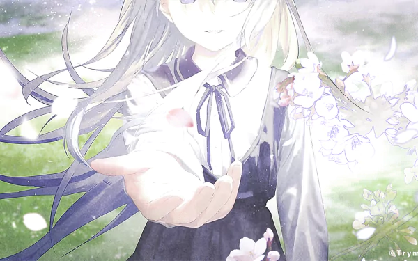 Original anime HD PC desktop wallpaper: long-haired girl in a school uniform reaches out with an open hand as cherry blossoms drift in soft, glowing light.