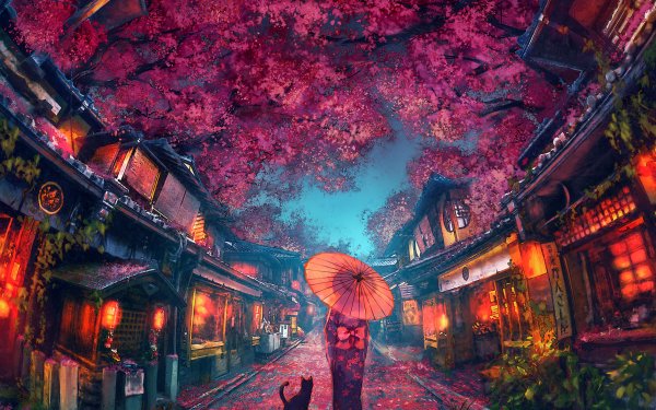 Anime Original Kimono Parasol Street Sakura HD Wallpaper | Background Image
