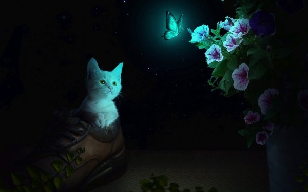 Animal Artistic Cat Flower Manipulation HD Wallpaper | Background Image