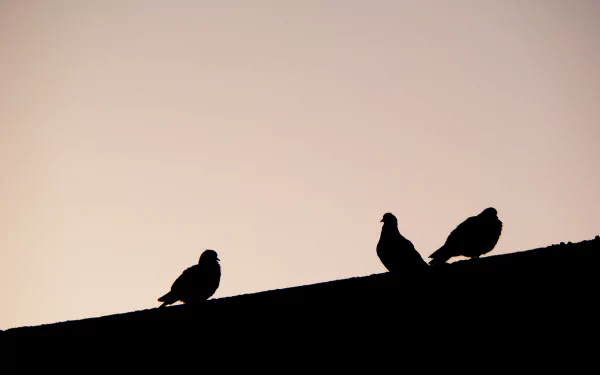  Early Morning - Tebessa