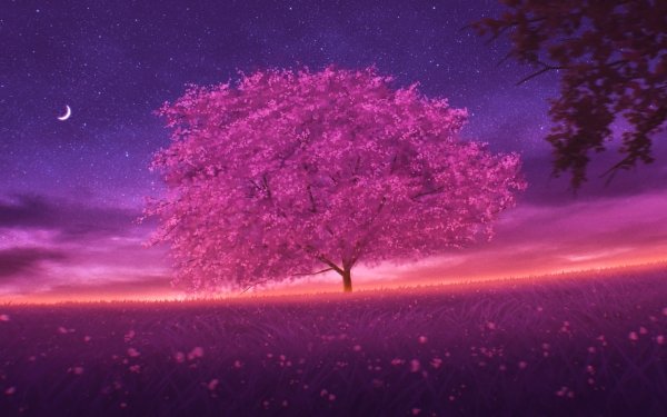Artistic Tree Night Nature HD Wallpaper | Background Image